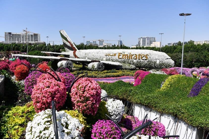 Модель Emirates A380 в Саду Чудес в Дубае, 150 миллионов натуральных цветов