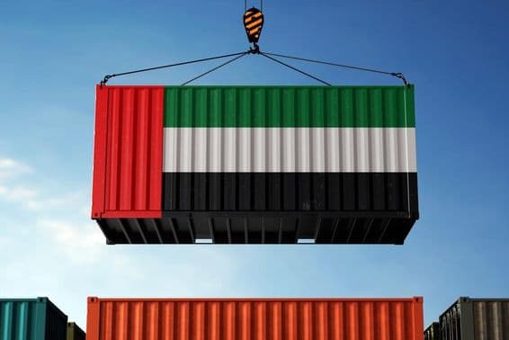 Кран поднимает контейнер, раскрашенный в цвета флага ОАЭ.