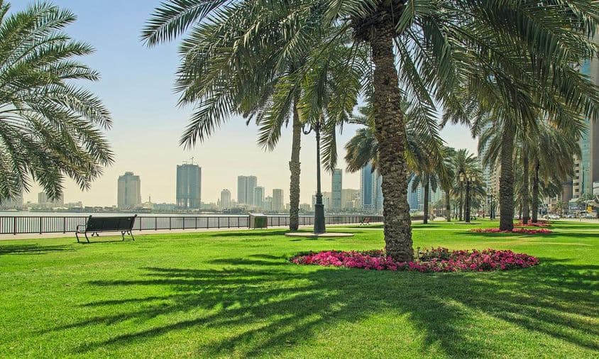 Зеленый газон у набережной в Шардже.