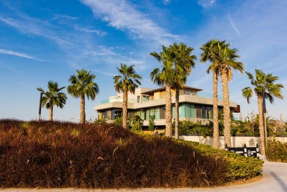 Дубай, вилла окружена пальмами на фоне облачного заката.