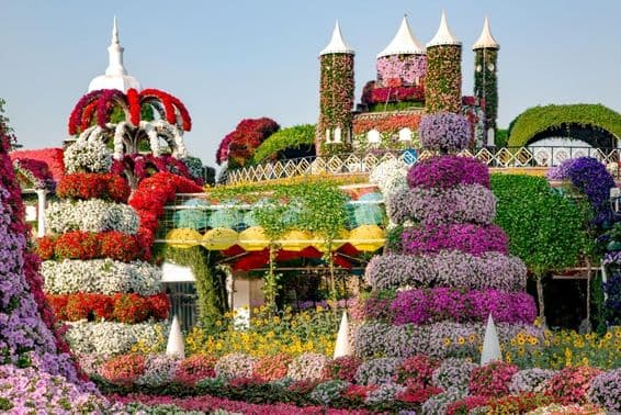 В Dubai Miracle Garden представлены сказочные замки и более 45 миллионов цветов.