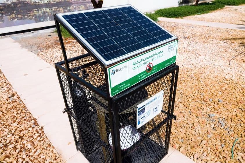 Абу-Даби, промышленное оборудование для уничтожения комаров на улице.