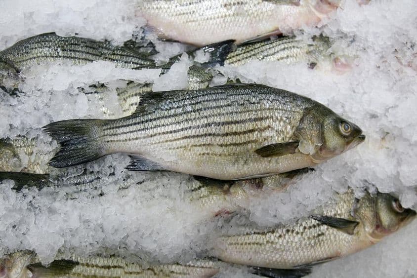 Рыба на продажу, рынок морепродуктов.