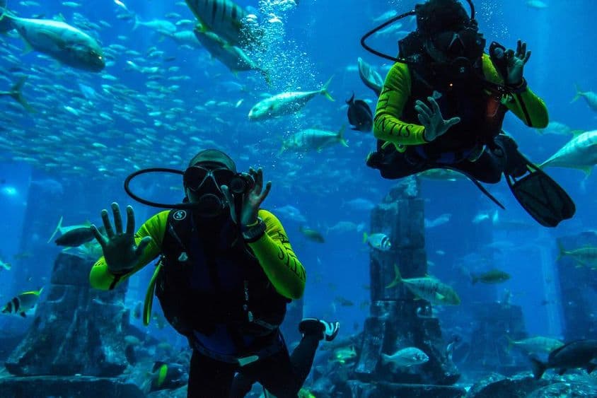 Большой аквариум в отеле Atlantis в Дубае, Объединенные Арабские Эмираты.