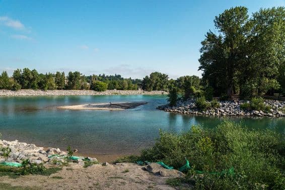 Берег реки Боу в Калгари, Альберта, Канада.