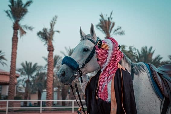 Лошадь на фоне пальм.