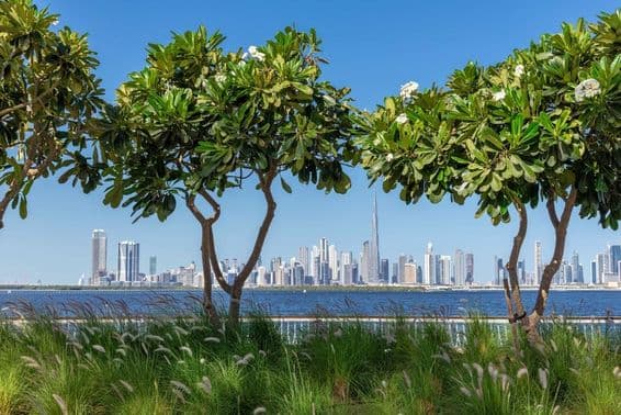 Вид на центр Дубая с канала Дубай-Крик.