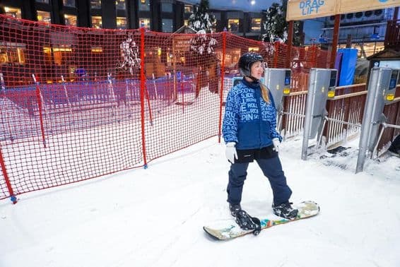 Достопримечательность в ТЦ 'Ски Дубай' в Дубае.