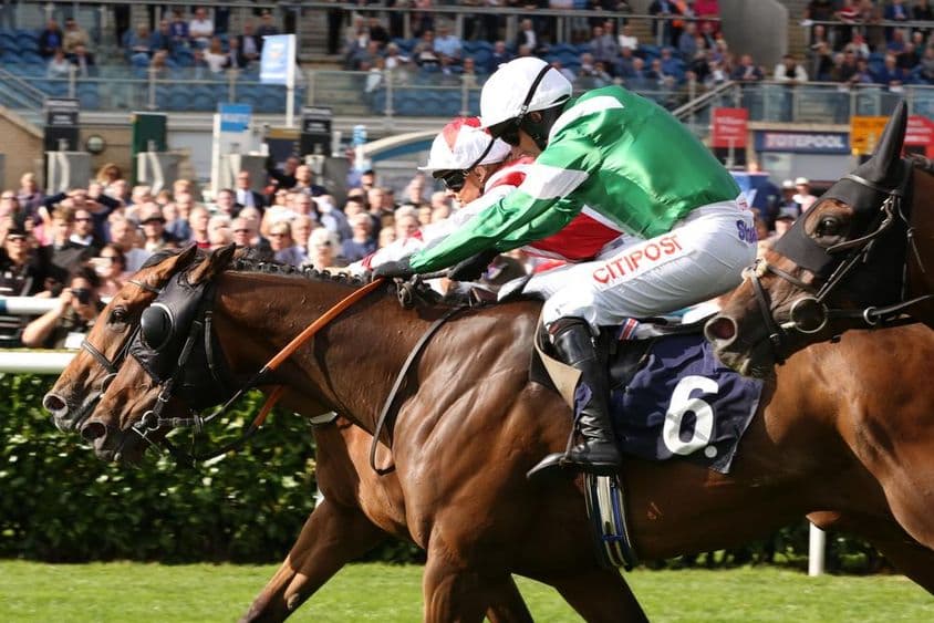 Легендарная скачка, победа на финишной прямой.