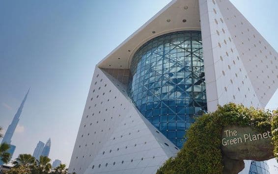 Уникальная экосистема на зеленой планете в Дубае.