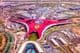 Абу-Даби, парк Ferrari World.
