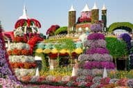 Dubai Miracle Garden, заполненный сказочными замками и более чем 45 миллионами цветов.