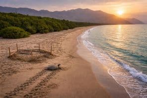 Сохраненное сокровище пляжа Кальба